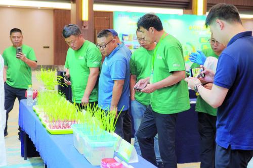 让作物赢在起跑线